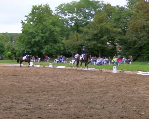Reitturnier Viersen-Dülken 2023