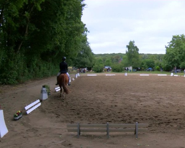 Reitturnier Viersen-Dülken 2023