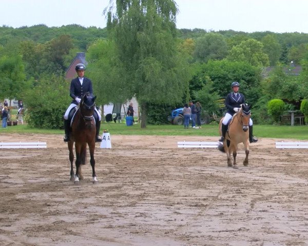 Reitturnier Viersen-Dülken 2023