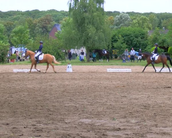 Reitturnier Viersen-Dülken 2023