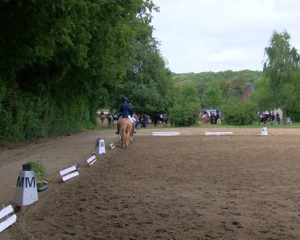Reitturnier Viersen-Dülken 2023