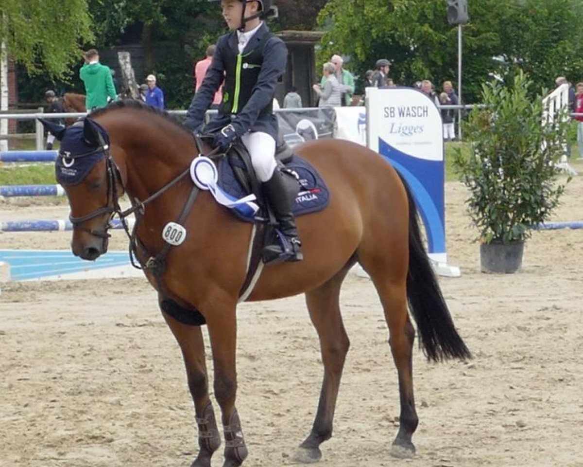 Springpferd Hop la Eda (Französisches Pony, 2017, von Welcome Sympatico)