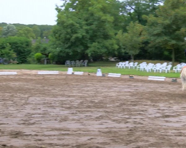 Reitturnier Viersen-Dülken 2023
