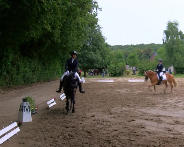 Reitturnier Viersen-Dülken 2023