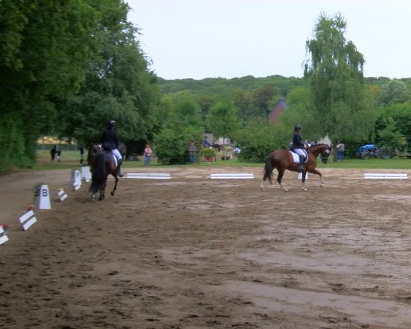 Reitturnier Viersen-Dülken 2023