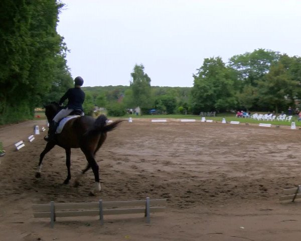 Reitturnier Viersen-Dülken 2023