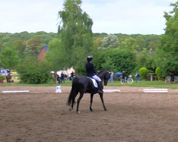 Reitturnier Viersen-Dülken 2023