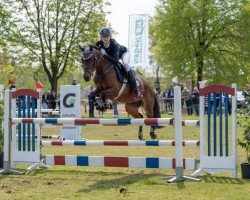 broodmare Soul Made (German Riding Pony, 2011, from Trentino)