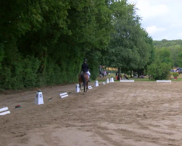 Reitturnier Viersen-Dülken 2023