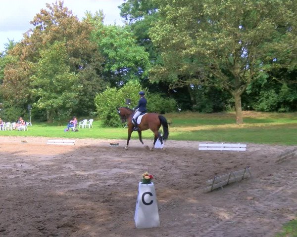 Reitturnier Viersen-Dülken 2023