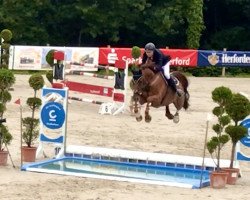jumper Piece of Cake 2 (Hanoverian, 2009, from Perigueux)