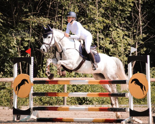 Springpferd Caluna Lb (Westfale, 2017, von Coupie)