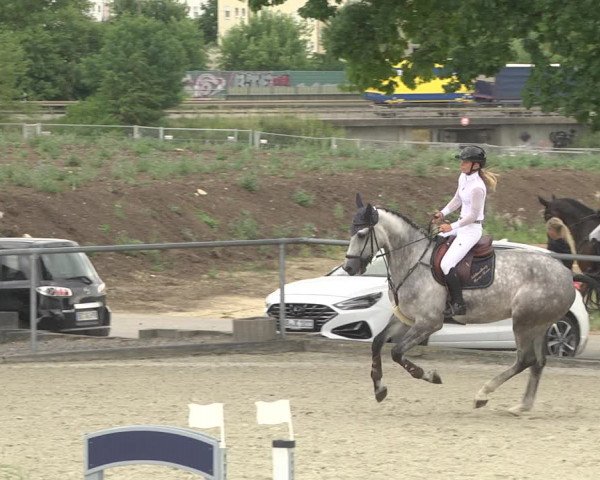 Reitturnier Ehningen 2023