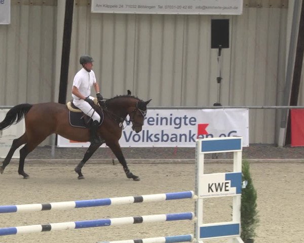 Reitturnier Ehningen 2023