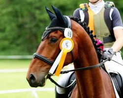 jumper Leos Liebling (German Sport Horse, 2018, from Leo von Faelz)
