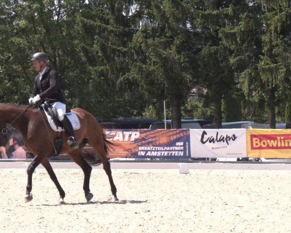 Reitturnier Amstetten 2023