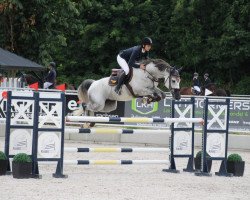 jumper Cornet's Star 3 (German Sport Horse, 2017, from Cornet Obolensky)