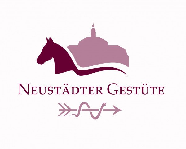 Stiftung Brandenburgisches Haupt- und Landgestüt Neustadt (Dosse)