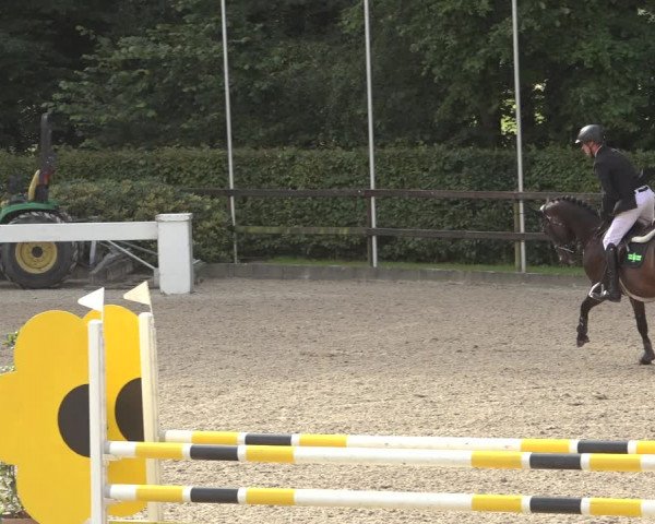 Reitturnier Klein Roscharden 2023
