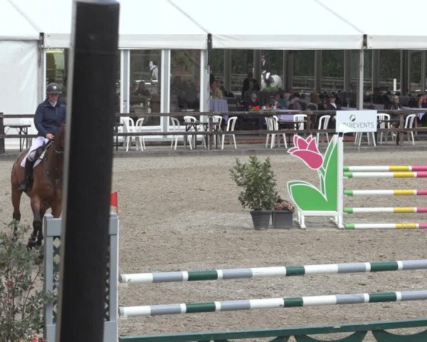 Reitturnier Klein Roscharden 2023