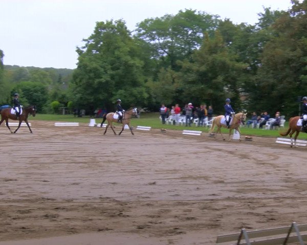 Reitturnier Viersen-Dülken 2023