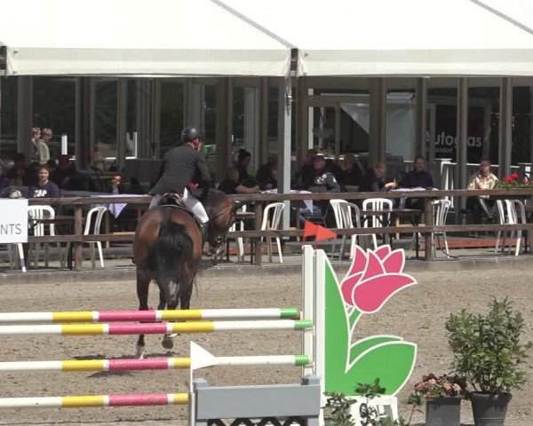 Reitturnier Klein Roscharden 2023