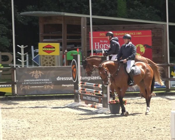 Reitturnier Klein Roscharden 2023