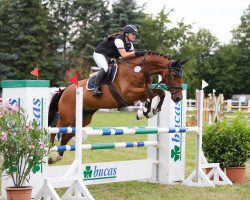 jumper Siggi Sorglos 2 (Rhinelander, 2016, from Stanley)