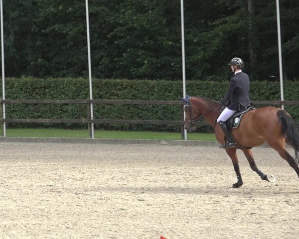 Reitturnier Klein Roscharden 2023