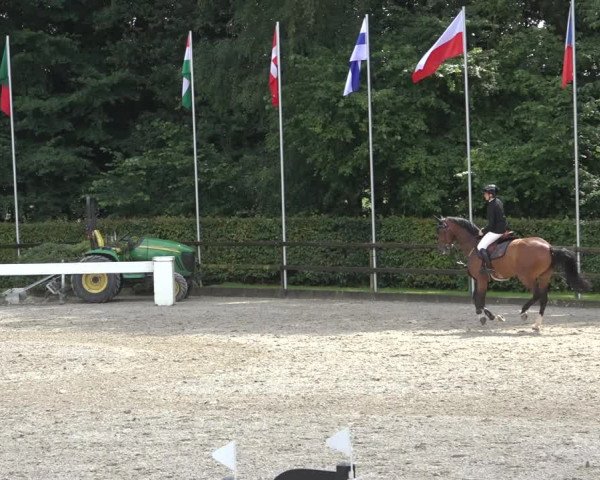 Reitturnier Klein Roscharden 2023