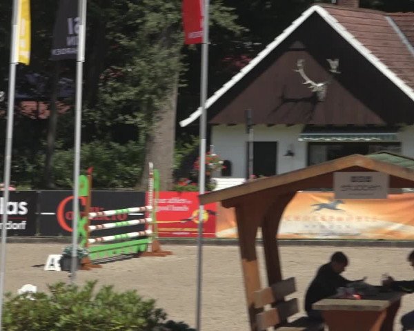 Reitturnier Klein Roscharden 2023