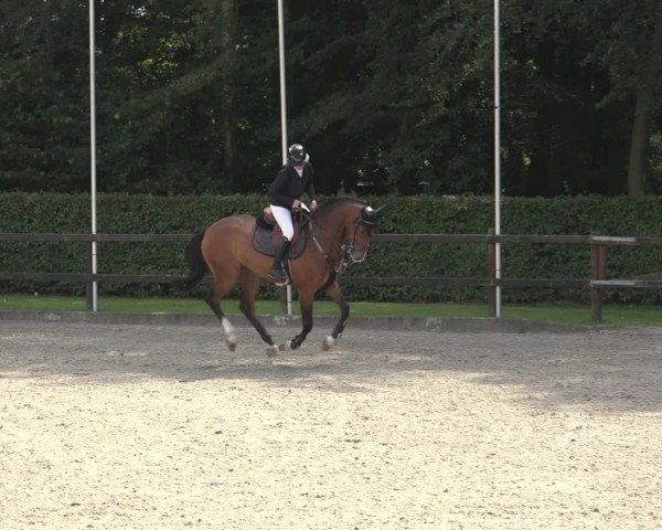 Reitturnier Klein Roscharden 2023