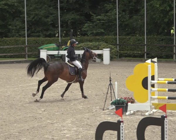 Reitturnier Klein Roscharden 2023