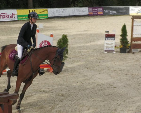 Reitturnier Karlsfeld 2023