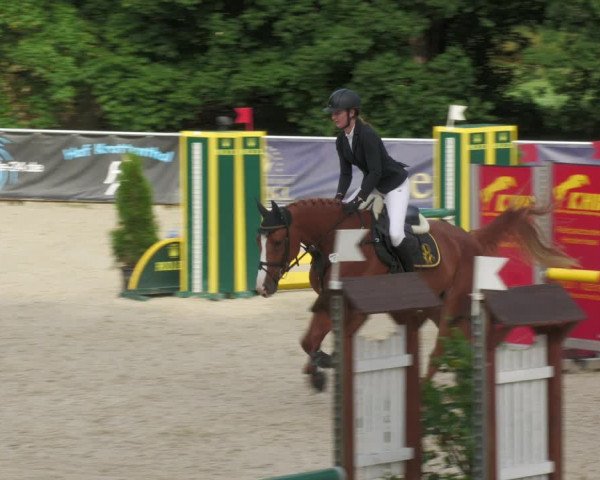 Reitturnier Karlsfeld 2023