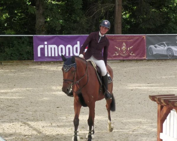 Reitturnier Karlsfeld 2023