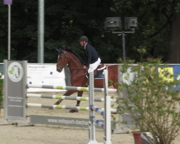 Reitturnier Karlsfeld 2023