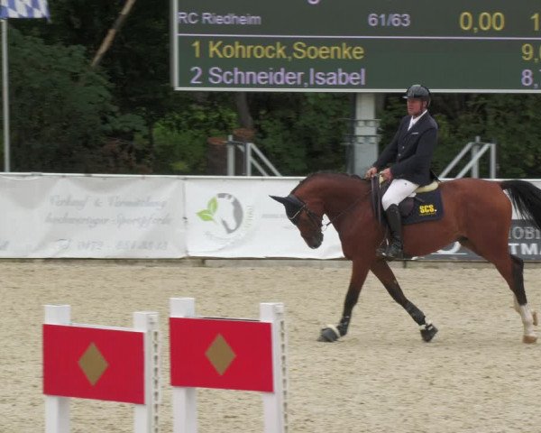 Reitturnier Karlsfeld 2023