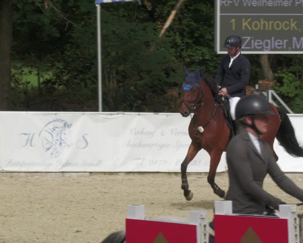 Reitturnier Karlsfeld 2023