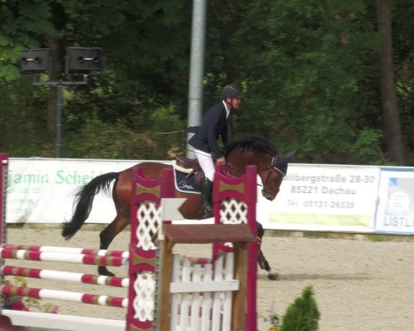 Reitturnier Karlsfeld 2023
