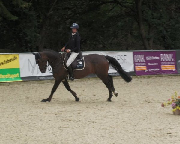 Reitturnier Karlsfeld 2023