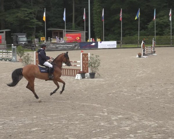 Reitturnier Klein Roscharden 2023