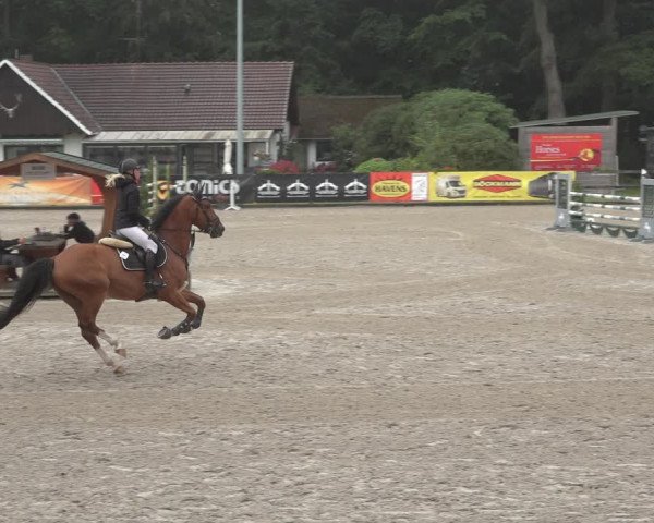 Reitturnier Klein Roscharden 2023