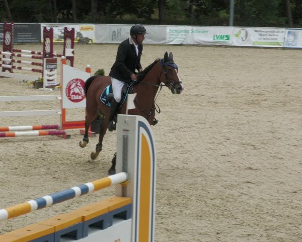Reitturnier Karlsfeld 2023
