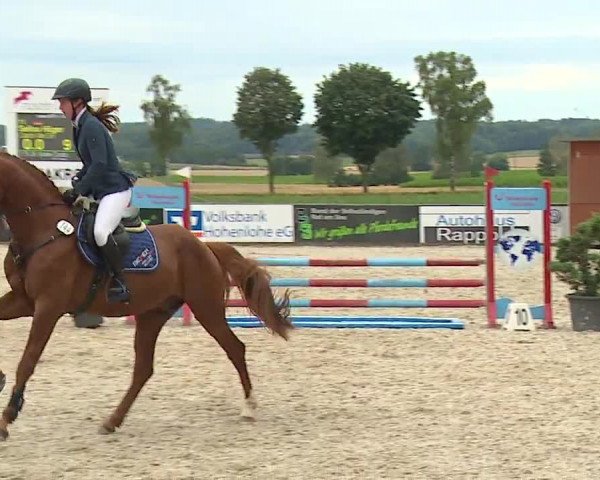 Reitturnier Rot am See- Musdorf 2023