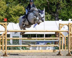 jumper Orphy van de Kruishoeve (Belgian Warmblood, 2014, from Elvis Ter Putte)
