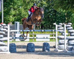 jumper Nasty Boy de Muze (Belgian Warmblood, 2013, from Bamako de Muze)