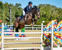 jumper Killer du Grand Moustier (Belgium Sporthorse, 2016, from Kannan)
