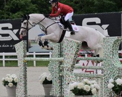 jumper Silver Star (Holsteiner, 2010, from Legolas)