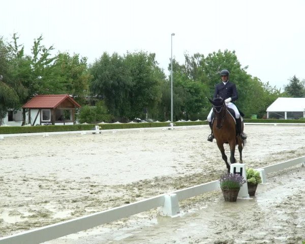 Reitturnier Neu-Anspach / Wintermühle 2023